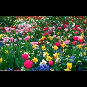 Meet your Posher, Lenny